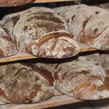 Plouarzel : La boulangerie familiale où les enfants sont les patrons !