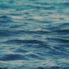 Saint-Hilaire-les-Places : Le Lac Plaisance en eaux troubles avant l&rsquo;été !