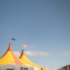 Sarthe : le Cirque Arlette Gruss fait son show à la maison, une première historique !