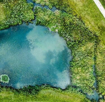 Dombes : L'Ain se mouille pour sauver ses étangs et sa pêche !