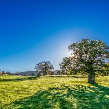 Hauts-de-France : Un long week-end de Pentecôte sous le soleil et la chaleur !