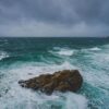 Bretagne : L&rsquo;Appel du Vert Toujours Aussi Fort ? Le Pari Gagnant de la Famille Gaillet !