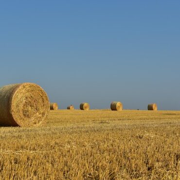 Aveyron : La Fête Est Finie, L'Amertume Demeure Chez Les Agriculteurs !