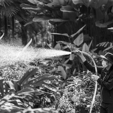 Canicule dans la Somme : nos agriculteurs s'organisent et s'adaptent !