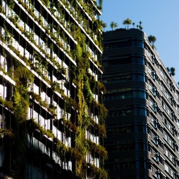 Metz voit vert : la ville se réinvente avec les Entretiens de la biodiversité !