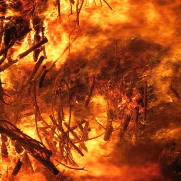 Alerte Incendie près de Perpignan : un chenil évacué, routes coupées !