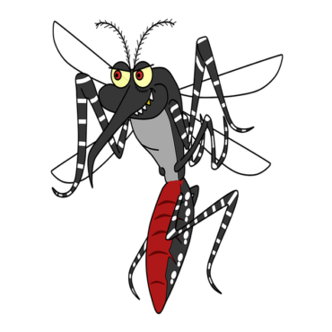 Chikungunya en Dordogne : Un cas importé à Montpon-Ménestérol, la démoustication s'organise !