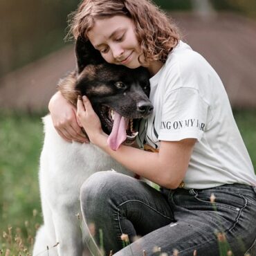 Incroyable : Smile, la chienne disparue de l'Ain, retrouve sa famille après trois mois d'aventure !