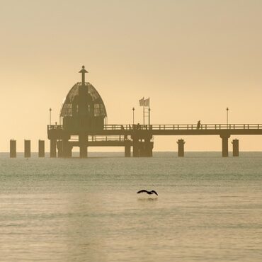 La Salie : Le Wharf, géant d'acier du Bassin, se modernise pour votre avenir !