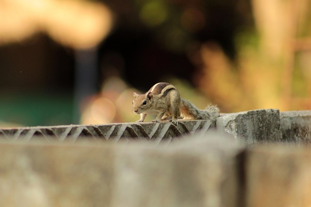 Arrière-plan