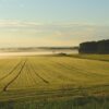 <strong>Alerte sur l&rsquo;eau en Bretagne :</strong> Rennes se mobilise ce dimanche !