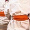 Sumo à Paris : Les Géants Japonais Débarquent ! Plongée au cœur du seul club parisien