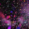 Vannes en Fête : Le RCV Décroche le Top 14, la Cité des Vénètes Explose de Joie !