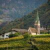 Pylône 5G de 36 mètres en plein vignoble ? La colère monte à Vertou !