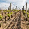 Solidarité géante à Orschwiller : après l&rsquo;incendie, tout un village se mobilise pour son vigneron !