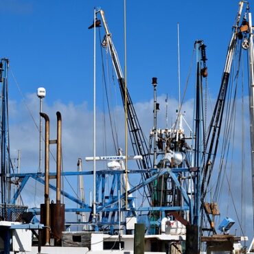 Hauts-de-France : nos petits pêcheurs face aux géants de la mer, la bataille des côtes !