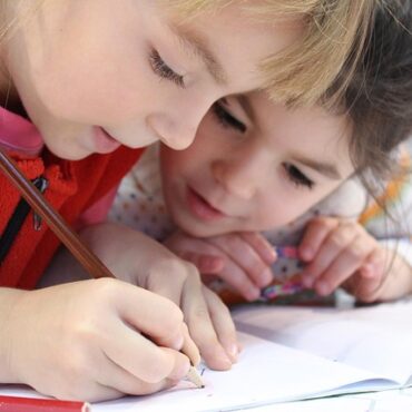 Rennes : Des arbres menacés à l'école des Gantelles, la mobilisation paie !
