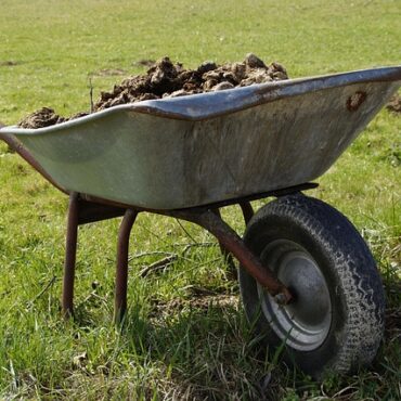 Haute-Loire : Un agriculteur transforme le fumier en gaz vert, une révolution locale !