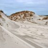 La Dune du Pilat : Elle rapetisse, mais dévore la forêt à toute vitesse !