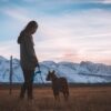 Victoire pour Aslan : le chien de Sangatte retrouve (enfin) ses maîtresses !