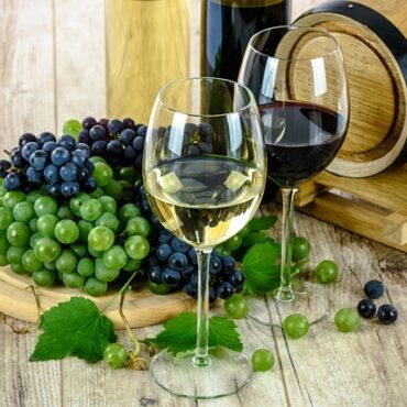 Quand la Normandie se met au vin : Un pari audacieux qui porte ses fruits !