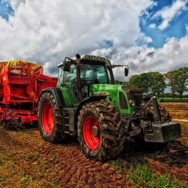 Vienne : 8 hectares en cendres ! La sécheresse fait flamber nos champs, les bons réflexes à adopter