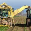 Algues vertes : coup de froid juridique sur la lutte contre les nitrates en Bretagne