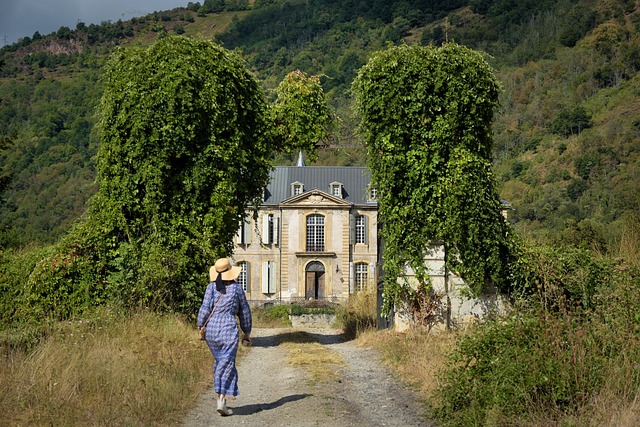 Arrière-plan