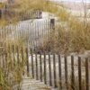 Trousse-Chemise sur l&rsquo;Île de Ré : Quand l&rsquo;Homme et la Nature s&rsquo;unissent pour sauver la plage !