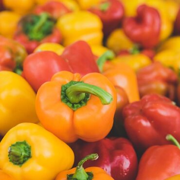 Marseille : clap de fin pour le Marché du Soleil, 42 millions d'euros de contrefaçons détruits