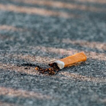 Morbihan : frigos, pneus et mégots... Le grand ras-le-bol des déchets sur la route