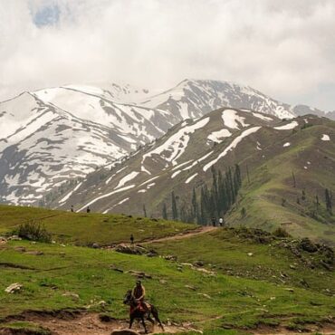 Vercors : grand bol d'air frais pour les chevaux du Trièves en alpage