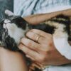 Marseille : ce vétérinaire star des réseaux sociaux se bat pour sauver les animaux de la rue
