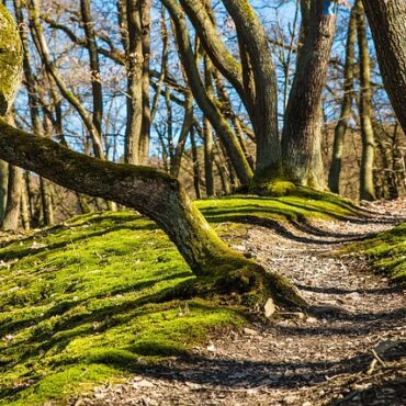 Insolite en Alsace : découvrez la mystérieuse grotte où se cachent les nains de jardin