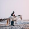 Pyrénées-Orientales : un sauvetage périlleux pour un cheval en difficulté