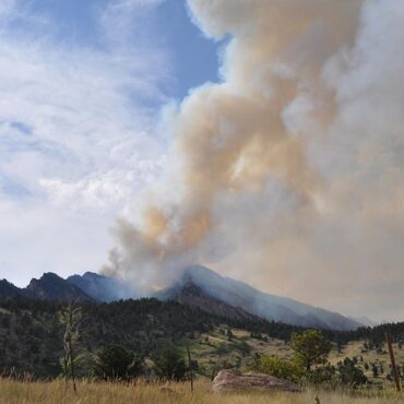 Incendie à Saint-Laurent-du-Var : trois habitations évacuées