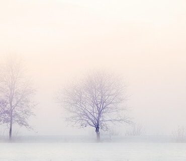Hiver austral : le givre s'invite dans les hauts