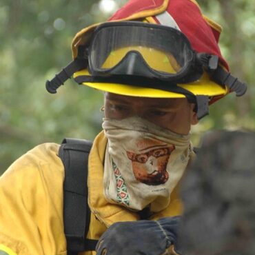 Incendies dans le Sud : plus de 1 000 hectares ravagés par les flammes