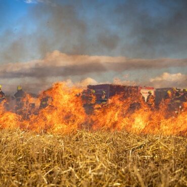 Saône-et-Loire : 15 hectares ravagés par les flammes à Villeneuve-en-Montagne