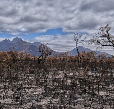 Incendie de Trévillhac : une exploitation agricole entièrement détruite dans les Pyrénées-Orientales