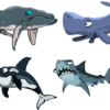 Var : des requins observés sur une carcasse de cachalot au large de Sanary