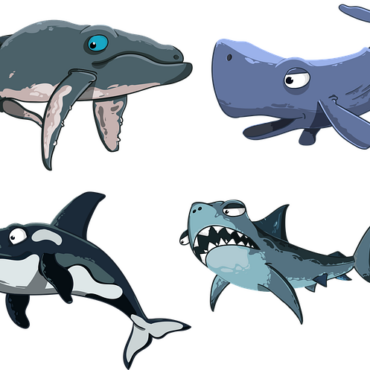 Var : des requins observés sur une carcasse de cachalot au large de Sanary