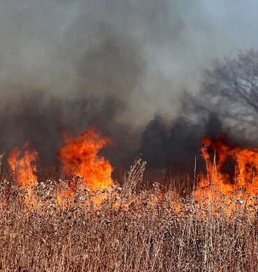 Gard : 13 hectares de garrigue ravagés par les flammes à Fontarèches