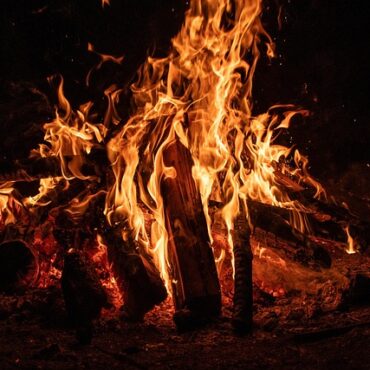 Bas-Rhin : une intervention policière nécessaire face à des imprudences en forêt