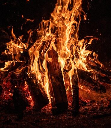 Bas-Rhin : une intervention policière nécessaire face à des imprudences en forêt