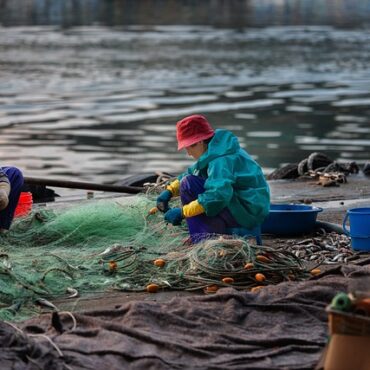 Finistère : opération de sauvetage pour les poissons de l'Odet à Langolen