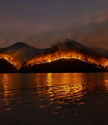 Incendies : le bilan s'alourdit avec 50 000 hectares détruits en France