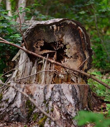 Villars : dix jours après la tornade, des familles toujours privées de logement