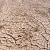 Meuse : les restrictions d&rsquo;eau s&rsquo;intensifient face à la sécheresse