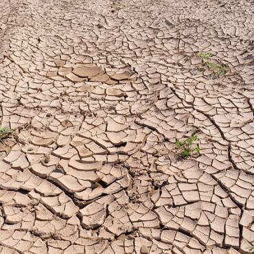 Meuse : les restrictions d'eau s'intensifient face à la sécheresse